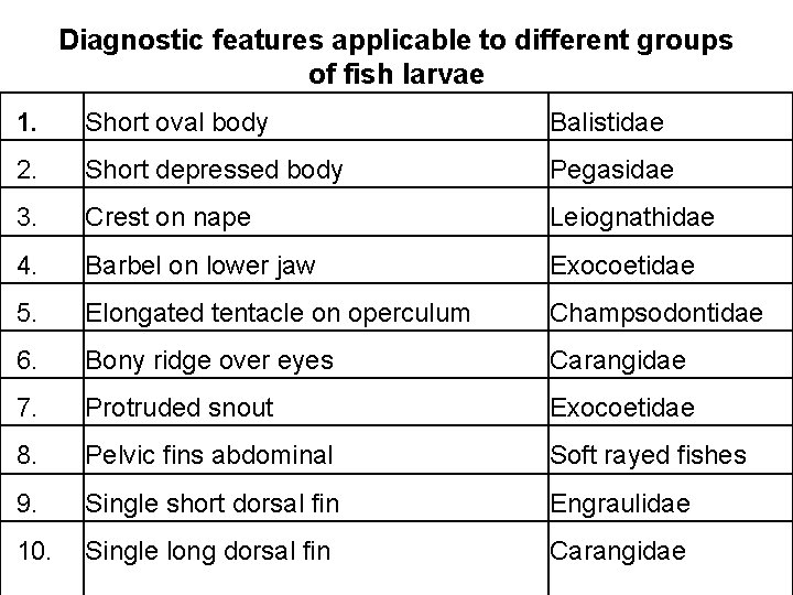 Diagnostic features applicable to different groups of fish larvae 1. Short oval body Balistidae