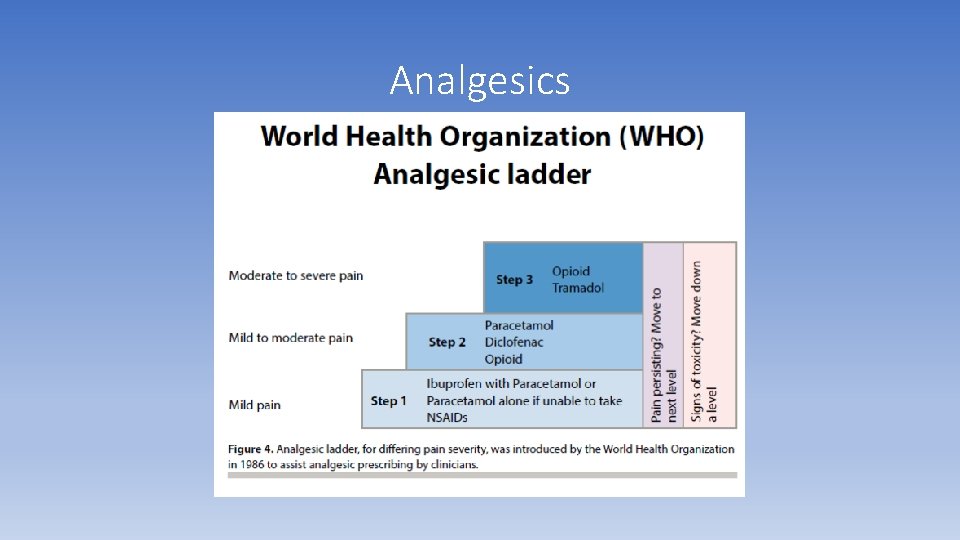 Analgesics Analgesics