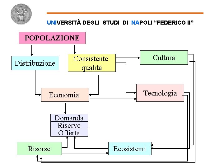 UNIVERSITÀ DEGLI STUDI DI NAPOLI “FEDERICO II” POPOLAZIONE Distribuzione Cultura Consistente qualità Economia Tecnologia