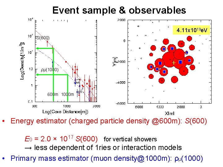 Event sample & observables 4. 11 x 1019 e. V S(600) ρμ(1000) 600 m