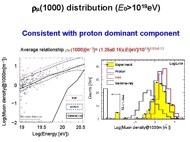 rm(1000) distribution (E 0>1019 e. V) Consistent with proton dominant component Log(Muon density@1000 m[m–