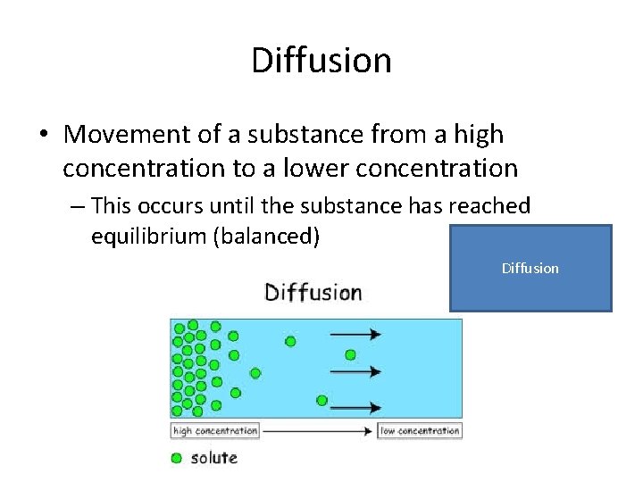 Diffusion • Movement of a substance from a high concentration to a lower concentration