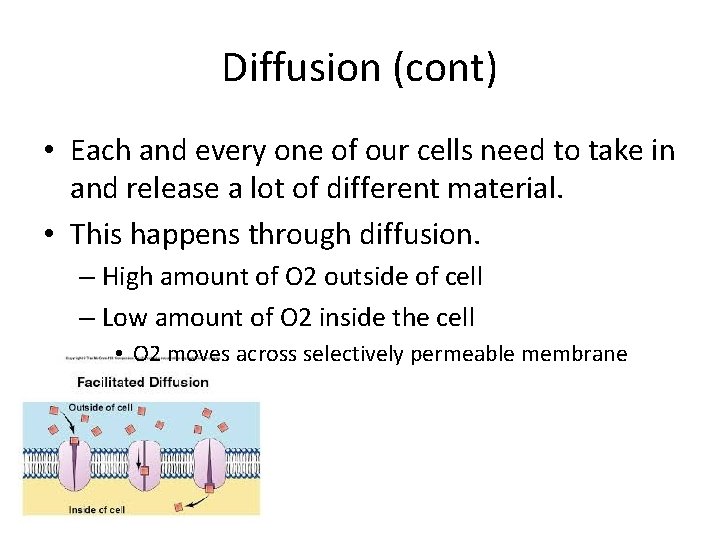 Diffusion (cont) • Each and every one of our cells need to take in