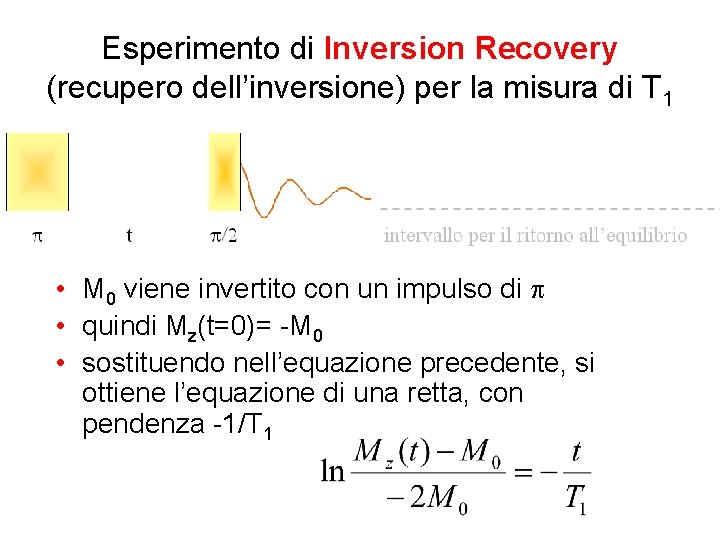 Esperimento di Inversion Recovery (recupero dell’inversione) per la misura di T 1 • M