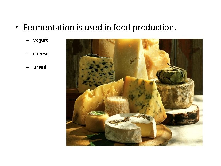  • Fermentation is used in food production. – yogurt – cheese – bread