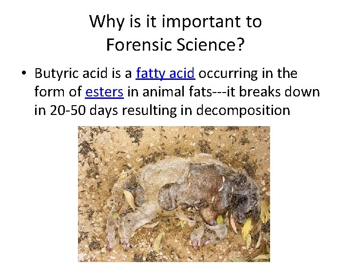 Why is it important to Forensic Science? • Butyric acid is a fatty acid