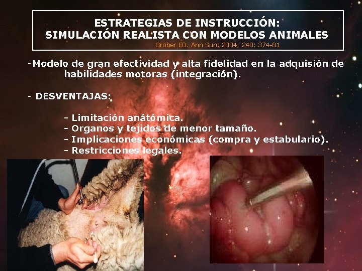 ESTRATEGIAS DE INSTRUCCIÓN: SIMULACIÓN REALISTA CON MODELOS ANIMALES Grober ED. Ann Surg 2004; 240: