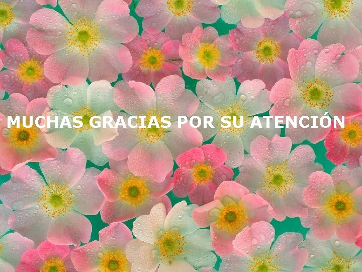 MUCHAS GRACIAS POR SU ATENCIÓN 