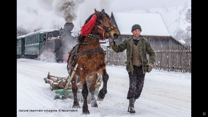 Sled and steam train in Bucovina. © Pascal Hubert 11 