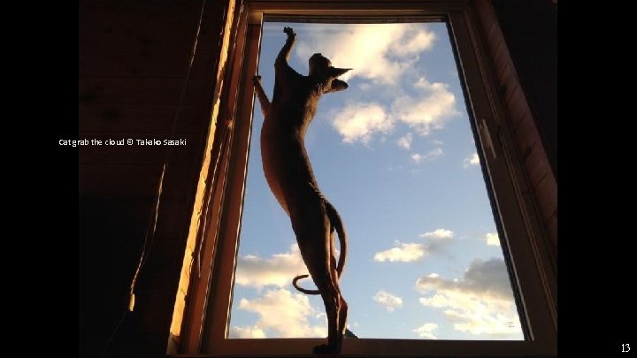 Cat grab the cloud © Takako Sasaki 13 