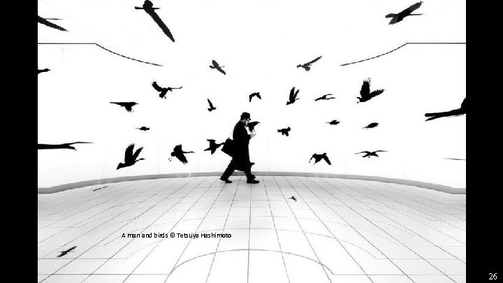A man and birds © Tetsuya Hashimoto 26 