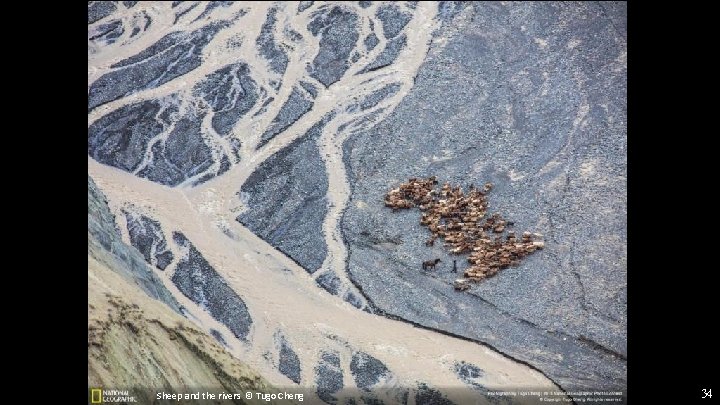 Sheep and the rivers © Tugo Cheng 34 