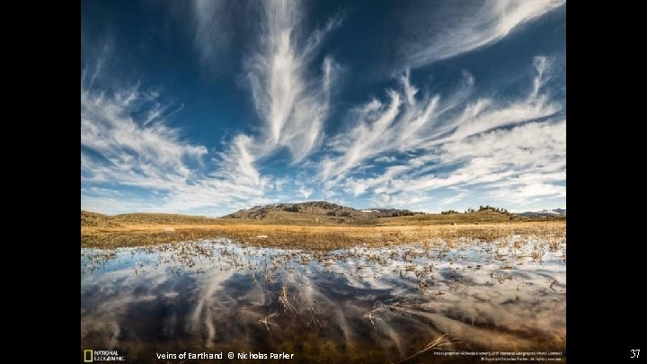 Veins of Earth and © Nicholas Parker 37 