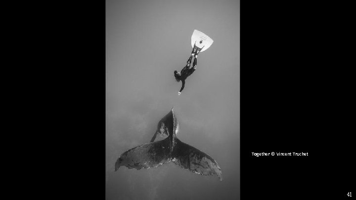 Together © Vincent Truchet 41 