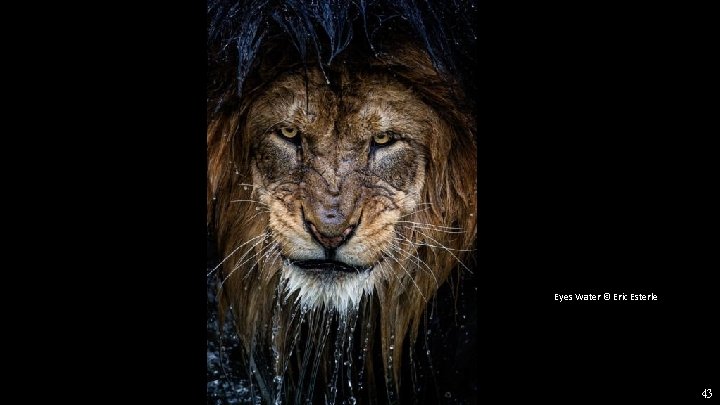 Eyes Water © Eric Esterle 43 