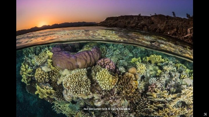 Red Sea Sunset Split © Danny Copeland 56 