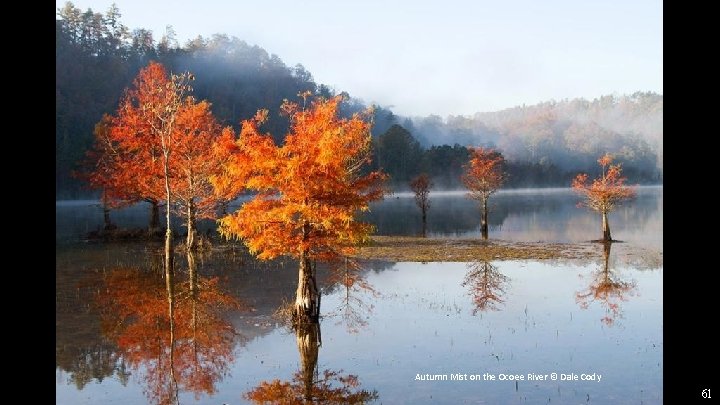 Autumn Mist on the Ocoee River © Dale Cody 61 