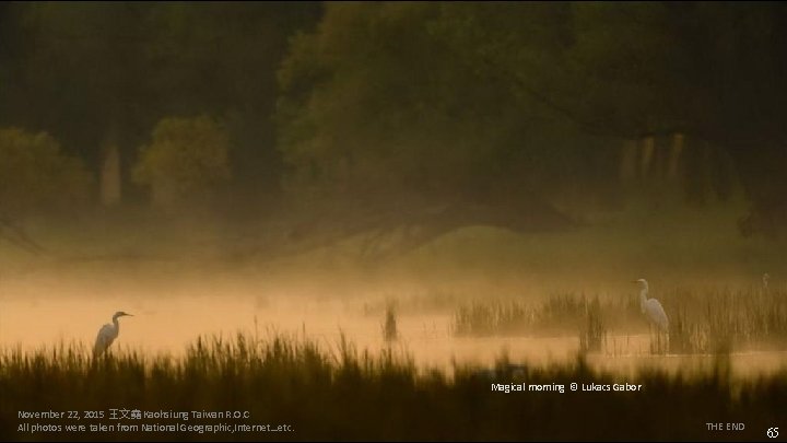 Magical morning © Lukacs Gabor November 22, 2015 王文堯 Kaohsiung Taiwan R. O. C