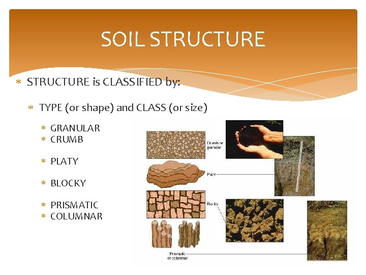 SOIL STRUCTURE is CLASSIFIED by: TYPE (or shape) and CLASS (or size) GRANULAR CRUMB