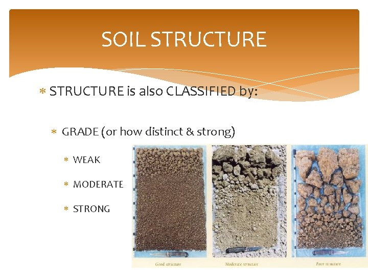 SOIL STRUCTURE is also CLASSIFIED by: GRADE (or how distinct & strong) WEAK MODERATE