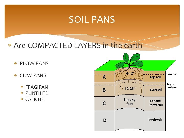 SOIL PANS Are COMPACTED LAYERS in the earth PLOW PANS CLAY PANS FRAGIPAN PLINTHITE