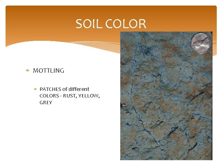 SOIL COLOR MOTTLING PATCHES of different COLORS - RUST, YELLOW, GREY 