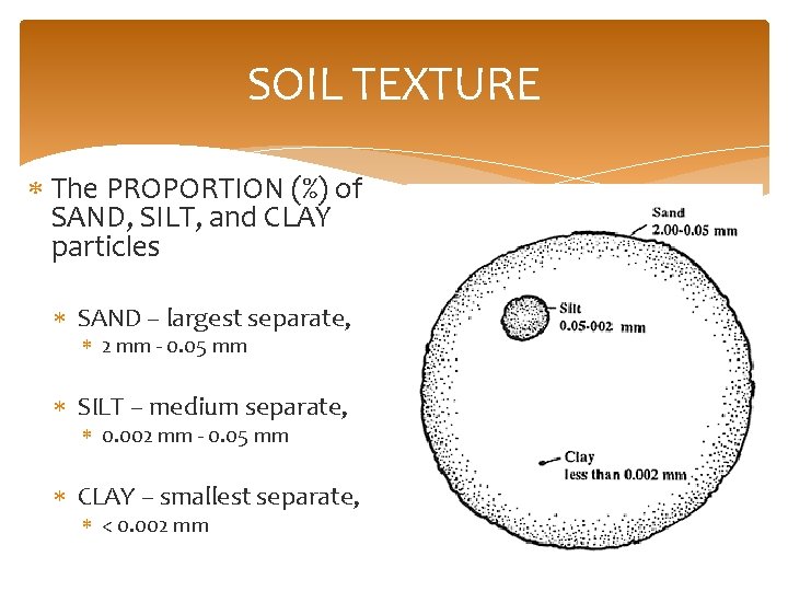 SOIL TEXTURE The PROPORTION (%) of SAND, SILT, and CLAY particles SAND – largest