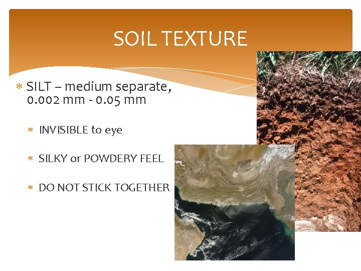 SOIL TEXTURE SILT – medium separate, 0. 002 mm - 0. 05 mm INVISIBLE