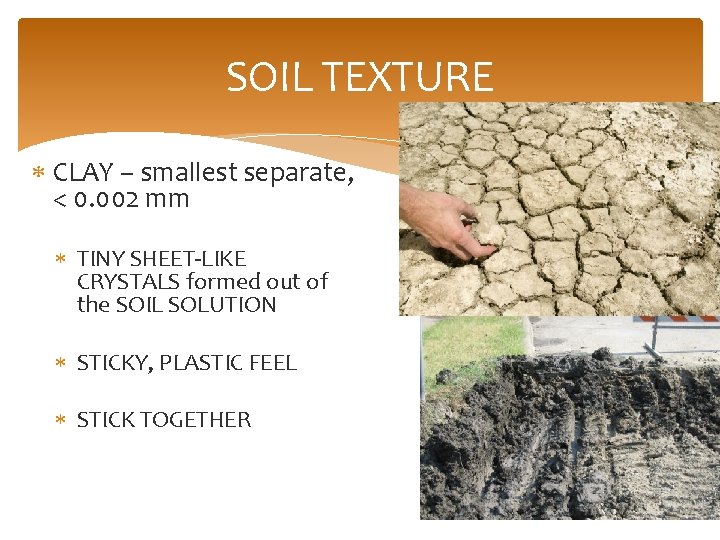 SOIL TEXTURE CLAY – smallest separate, < 0. 002 mm TINY SHEET-LIKE CRYSTALS formed