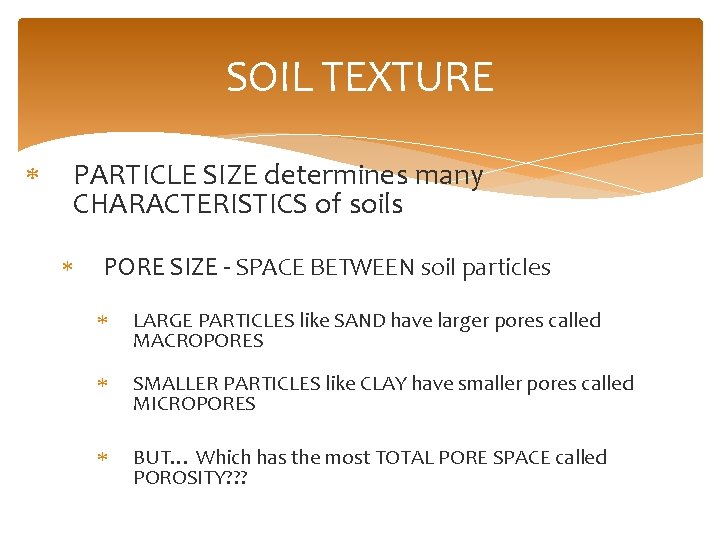 SOIL TEXTURE PARTICLE SIZE determines many CHARACTERISTICS of soils PORE SIZE - SPACE BETWEEN