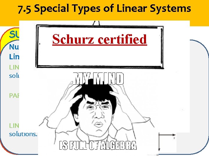 7. 5 Special Types of Linear Systems SUMMARY Schurz certified Number of Solutions of