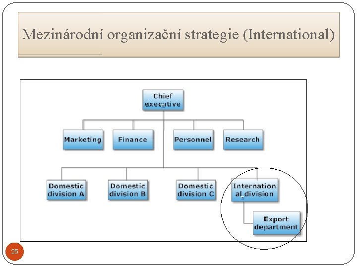 Mezinárodní organizační strategie (International) 25 