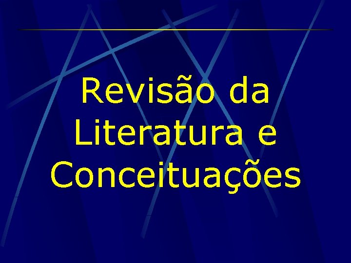 Revisão da Literatura e Conceituações 