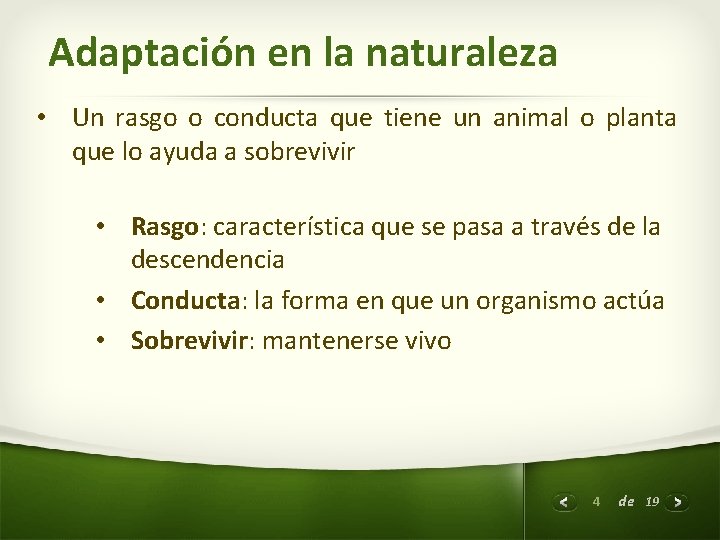 Adaptación en la naturaleza • Un rasgo o conducta que tiene un animal o