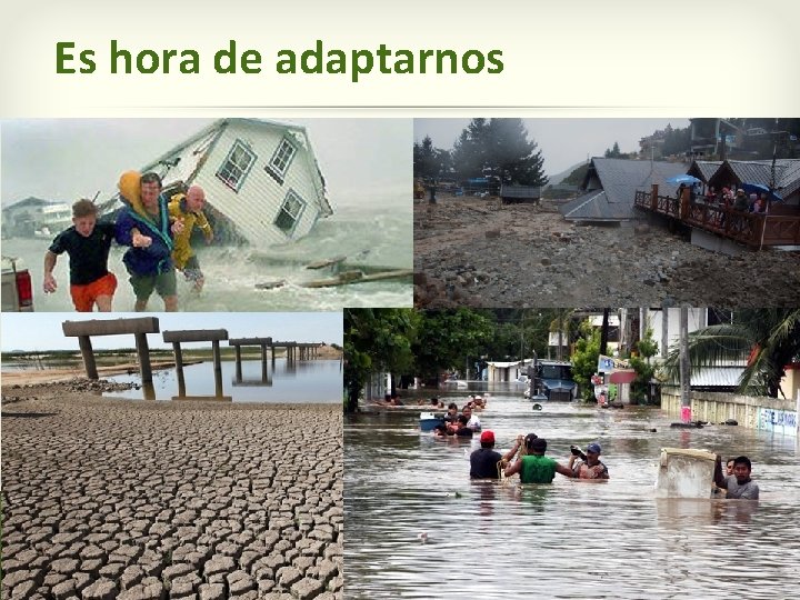 Es hora de adaptarnos 7 de 19 