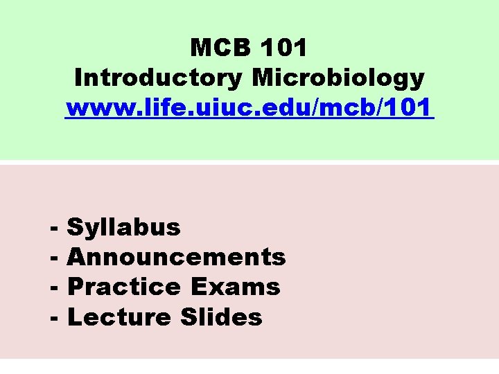 MCB 101 Introductory Microbiology www. life. uiuc. edu/mcb/101 - Syllabus Announcements Practice Exams Lecture