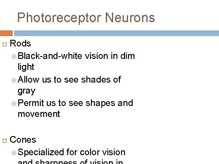 Photoreceptor Neurons Rods Black-and-white vision in dim light Allow us to see shades of Photoreceptor Neurons Rods Black-and-white vision in dim light Allow us to see shades of