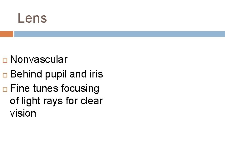Lens Nonvascular Behind pupil and iris Fine tunes focusing of light rays for clear Lens Nonvascular Behind pupil and iris Fine tunes focusing of light rays for clear