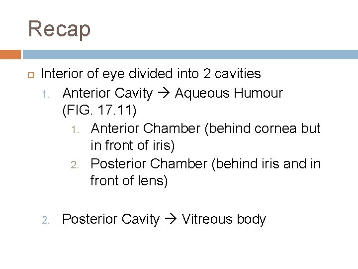 Recap Interior of eye divided into 2 cavities 1. Anterior Cavity Aqueous Humour (FIG. Recap Interior of eye divided into 2 cavities 1. Anterior Cavity Aqueous Humour (FIG.