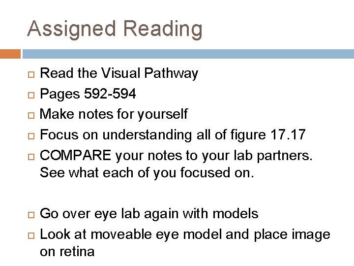 Assigned Reading Read the Visual Pathway Pages 592 -594 Make notes for yourself Focus Assigned Reading Read the Visual Pathway Pages 592 -594 Make notes for yourself Focus