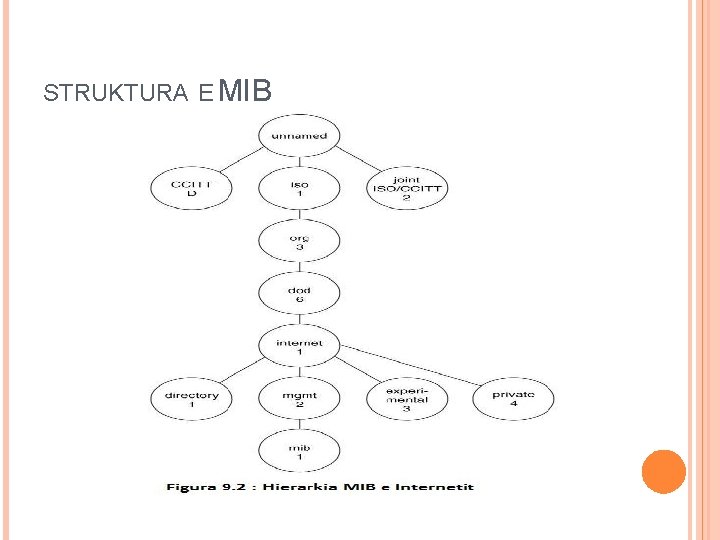 STRUKTURA E MIB STRUKTURA E MIB