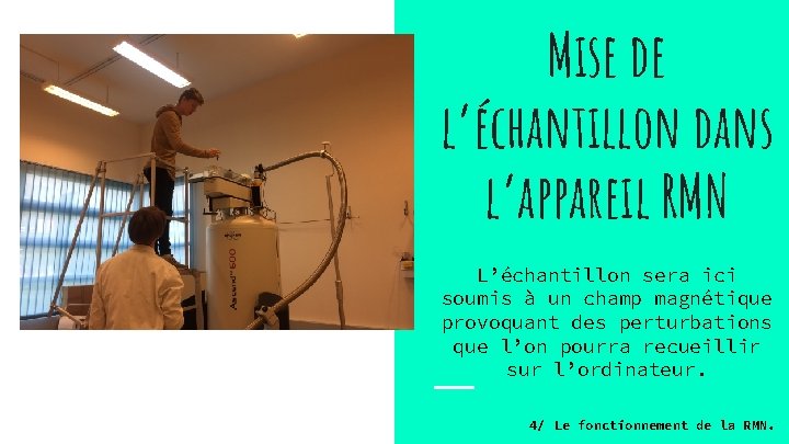 Mise de l’échantillon dans l’appareil RMN L’échantillon sera ici soumis à un champ magnétique