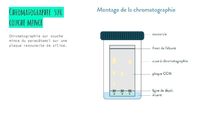 Chromatographie sur couche mince du paracétamol sur une plaque recouverte de silice. 