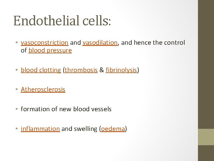 Endothelial cells: • vasoconstriction and vasodilation, and hence the control of blood pressure •