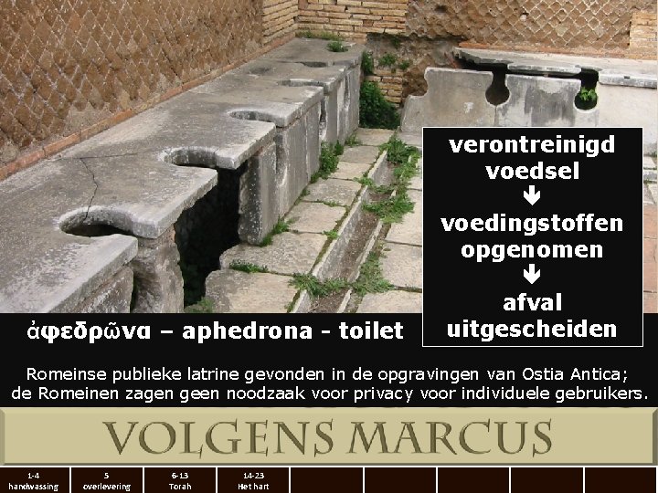 ἀφεδρῶνα – aphedrona - toilet verontreinigd voedsel voedingstoffen opgenomen afval uitgescheiden Romeinse publieke latrine