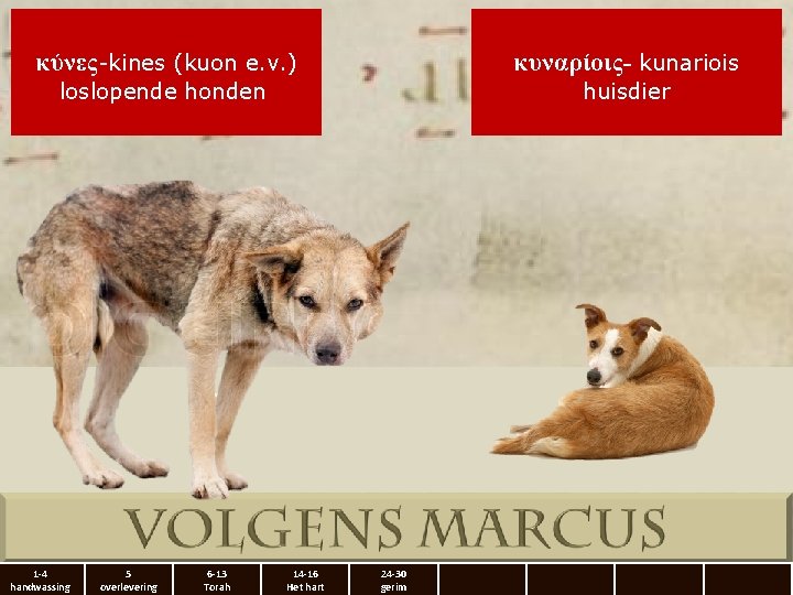 κύνες-kines (kuon e. v. ) κυναρίοις- kunariois loslopende honden huisdier 1 -4 handwassing 5