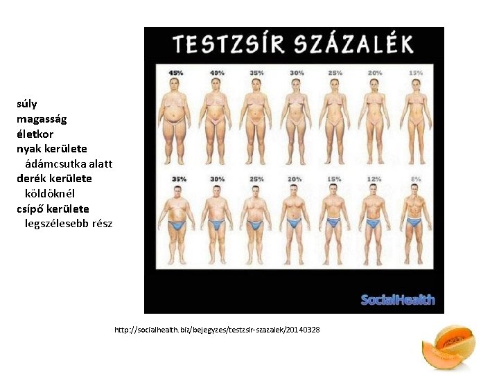 súly magasság életkor nyak kerülete ádámcsutka alatt derék kerülete köldöknél csípő kerülete legszélesebb rész
