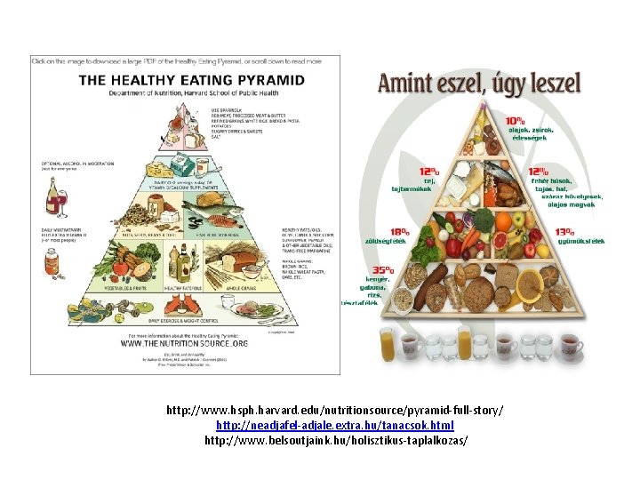 http: //www. hsph. harvard. edu/nutritionsource/pyramid-full-story/ http: //neadjafel-adjale. extra. hu/tanacsok. html http: //www. belsoutjaink. hu/holisztikus-taplalkozas/