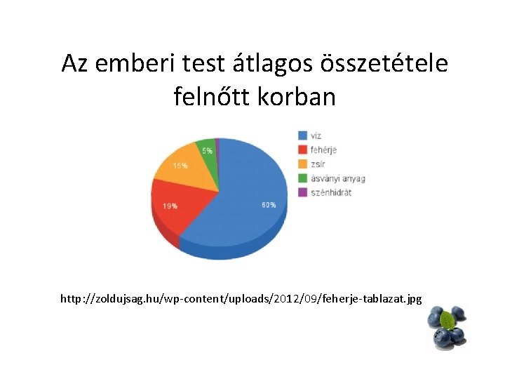Az emberi test átlagos összetétele felnőtt korban http: //zoldujsag. hu/wp-content/uploads/2012/09/feherje-tablazat. jpg 