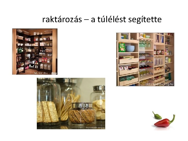 raktározás – a túlélést segítette 